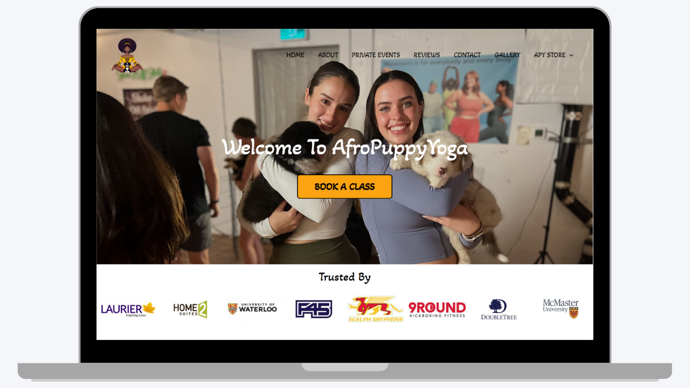 web design portfolio